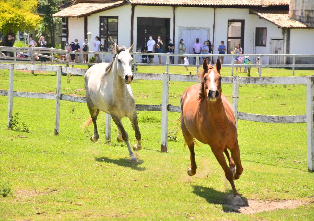 Hotel Fazenda Hipica Atibaia Εξωτερικό φωτογραφία