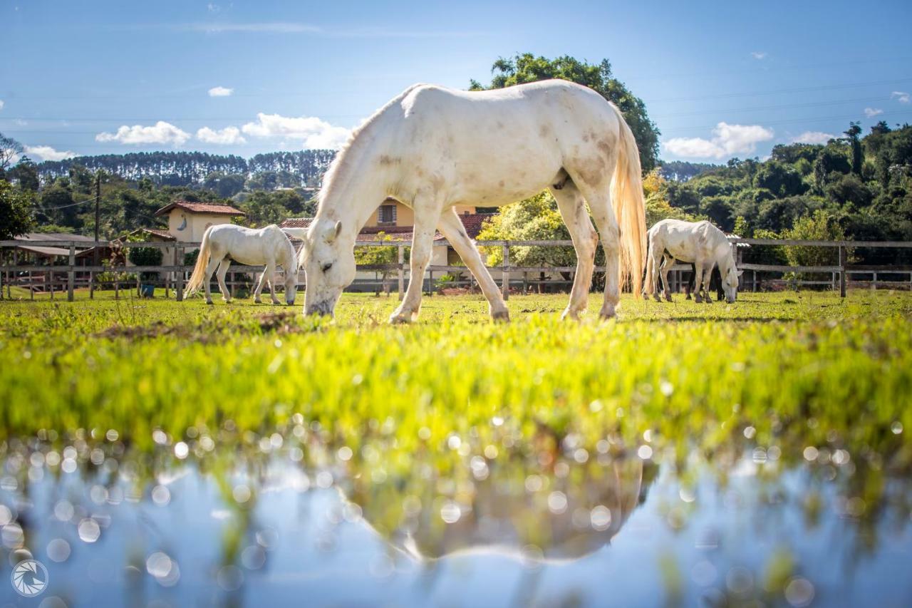Hotel Fazenda Hipica Atibaia Εξωτερικό φωτογραφία